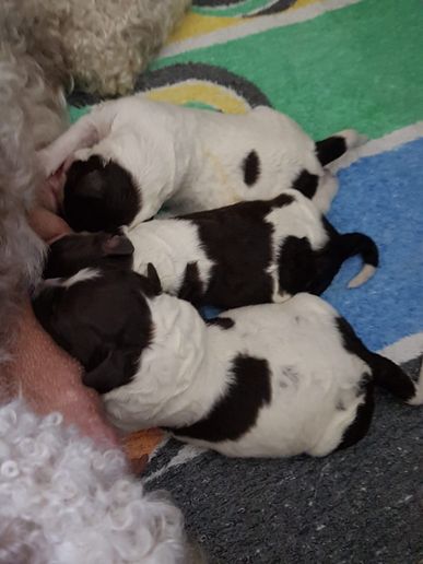 Beste Mama Tessa